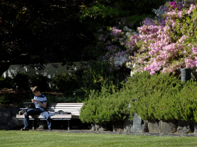 Student works on his laptop in the student center courtyard on a sunny Spring day. PHOTO BY ROGER WINSTEAD